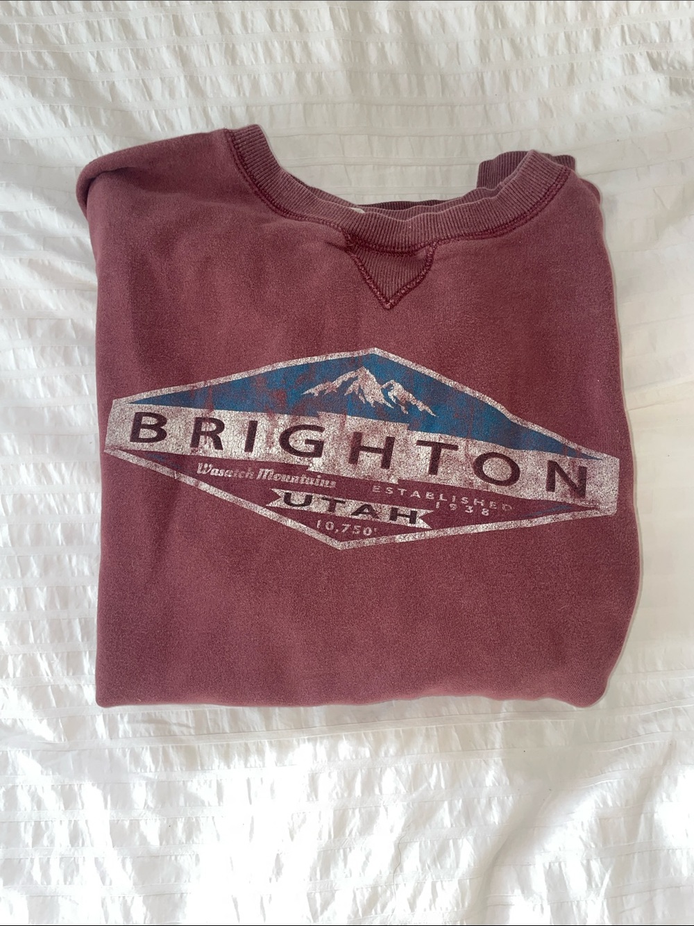 Vintage Brighton Logo Maroon Crewneck Sweatshirt - L